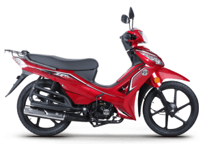 EGE 50